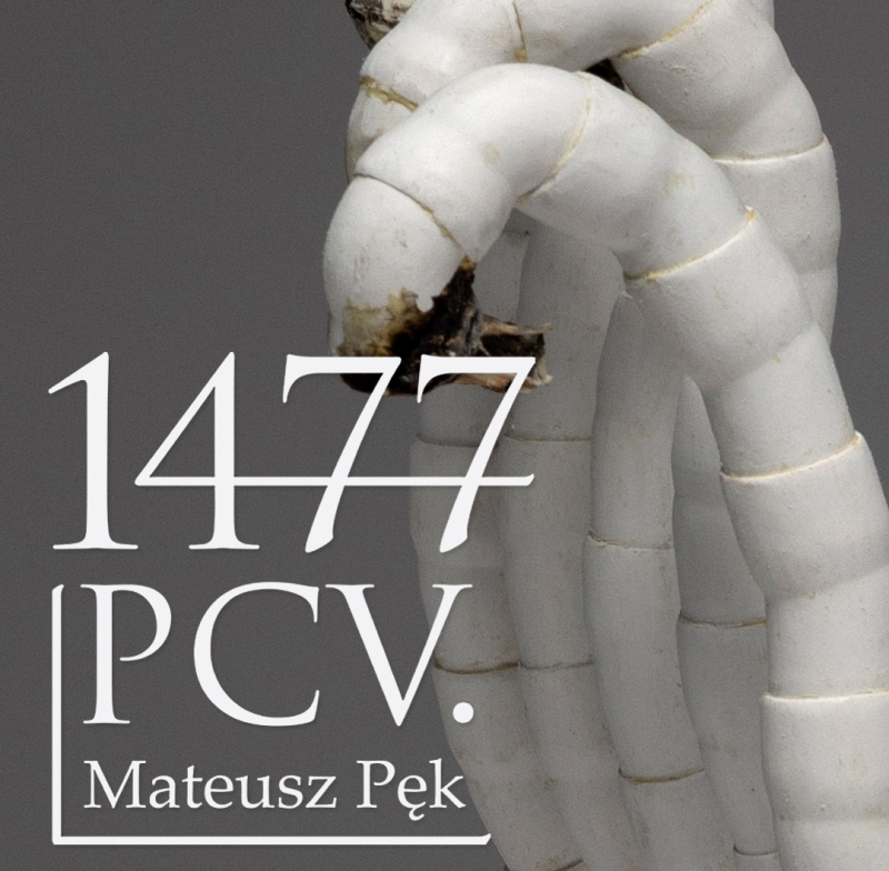 Nieśmiertelność plastiku w gotyckich murach. Mateusz Pęk w Galerii EL