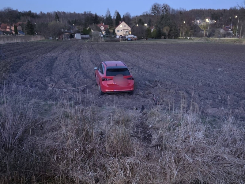 Prosto z drogi na pole. Pijany 38-latek zakończył jazdę w zaroślach