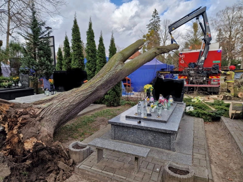 Elbląg walczy z wichurą. Zawalone ściany i deszcz interwencji