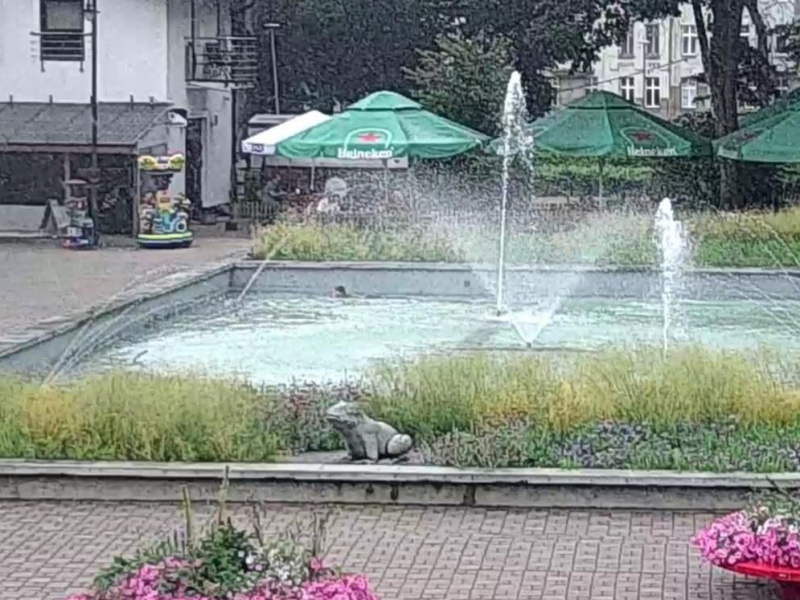 Deszczowy „relaks” w miejskiej fontannie. Straż miejska przypomina: to nie basen!