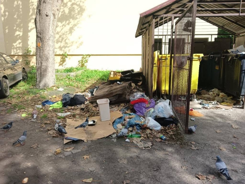 Śmieci mają trafiać do pojemników, a nie obok nich. Straż Miejska podsumowuje wrześniowe kontrole